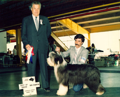 Dollar - a new champion!